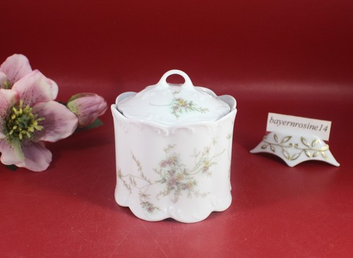 Rosenthal classic rose - rosenthal,