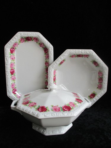 Rosa classica rosenthal - classica,